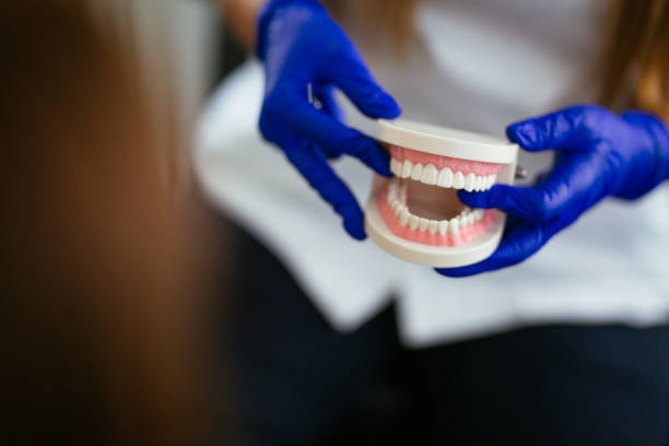  Lake Dalecarlia, IN Holistic Dental Care Services Pros